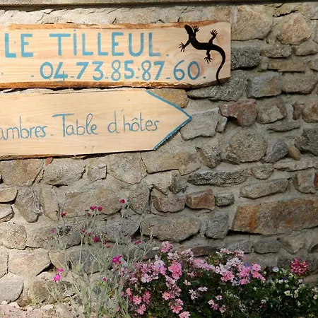 Le Tilleul Sainte-Christine (Puy-de-Dome)